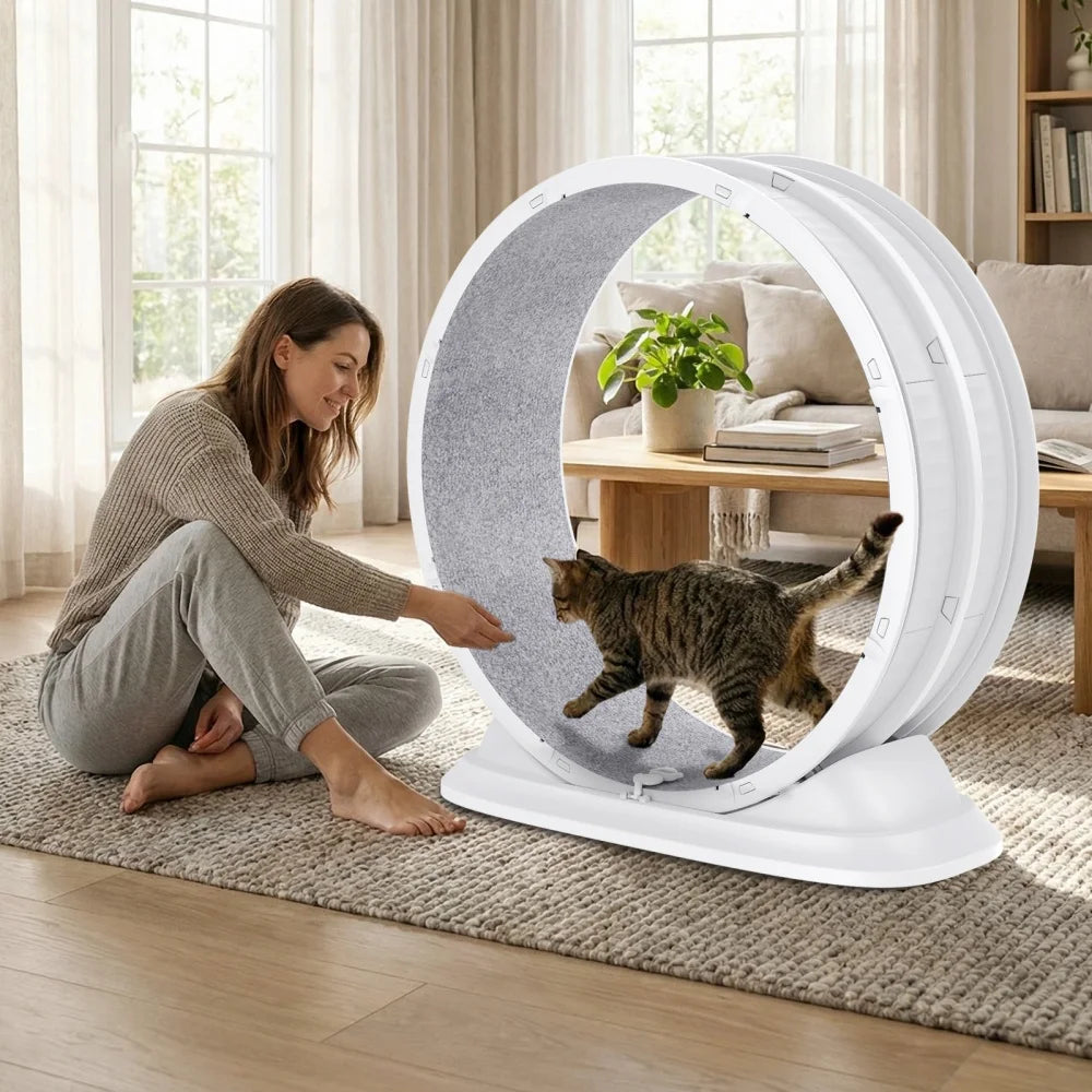 Roue de Course pour Chat – Roulements Silencieux Intégrés, Tapis Griffoir Amovible, Réduit l'Ennui et l'Anxiété