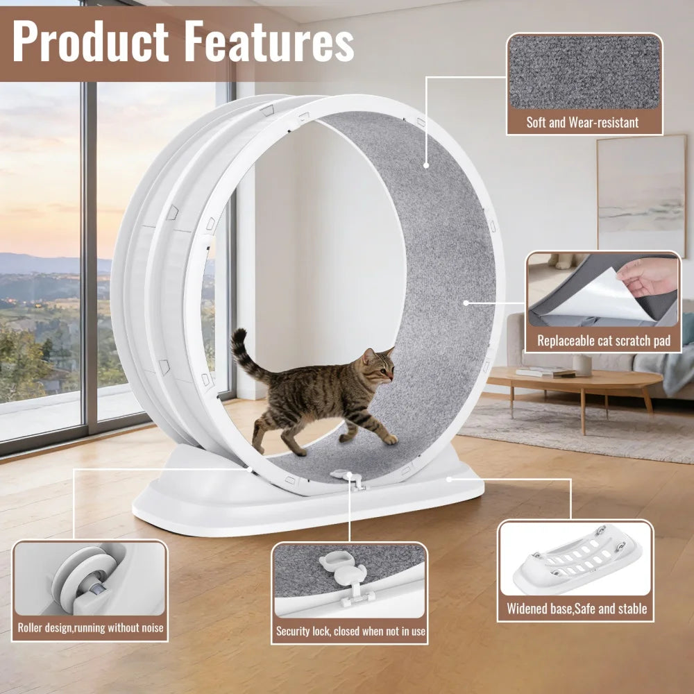 Roue de Course pour Chat – Roulements Silencieux Intégrés, Tapis Griffoir Amovible, Réduit l'Ennui et l'Anxiété