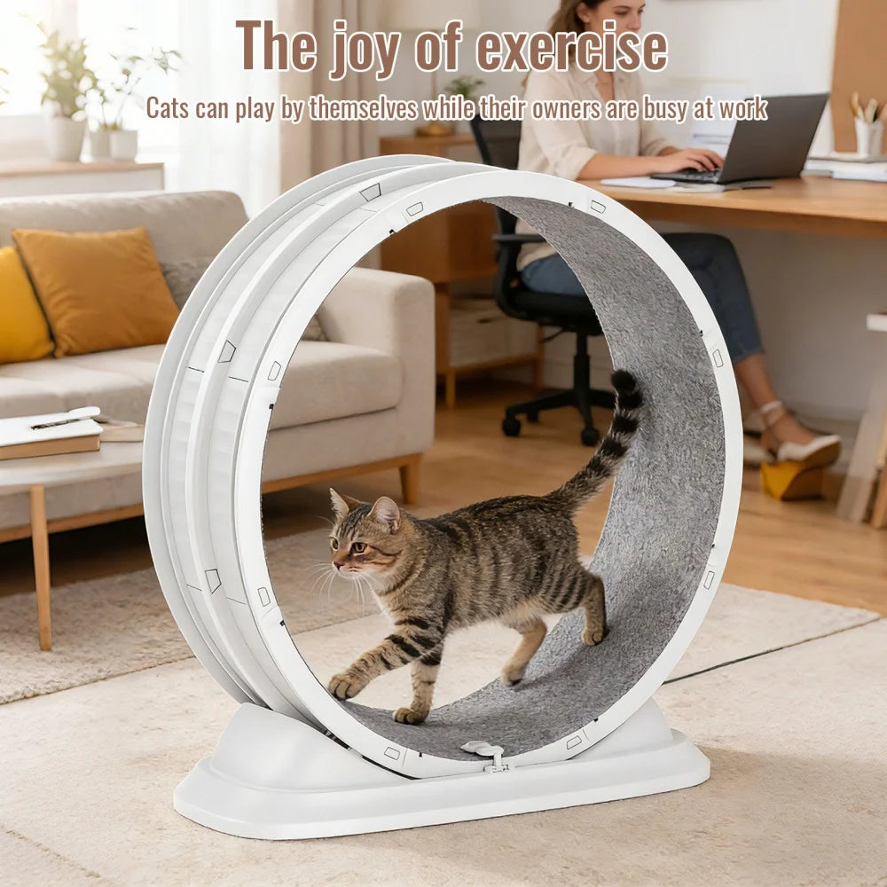 Roue de Course pour Chat – Roulements Silencieux Intégrés, Tapis Griffoir Amovible, Réduit l'Ennui et l'Anxiété