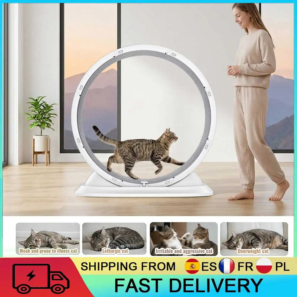 Roue de Course pour Chat – Roulements Silencieux Intégrés, Tapis Griffoir Amovible, Réduit l'Ennui et l'Anxiété