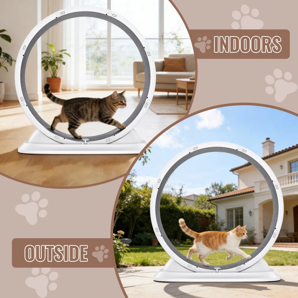 Roue de Course pour Chat – Roulements Silencieux Intégrés, Tapis Griffoir Amovible, Réduit l'Ennui et l'Anxiété