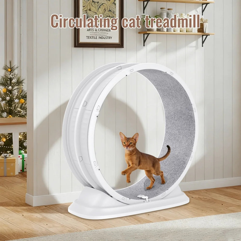 Roue de Course pour Chat – Roulements Silencieux Intégrés, Tapis Griffoir Amovible, Réduit l'Ennui et l'Anxiété