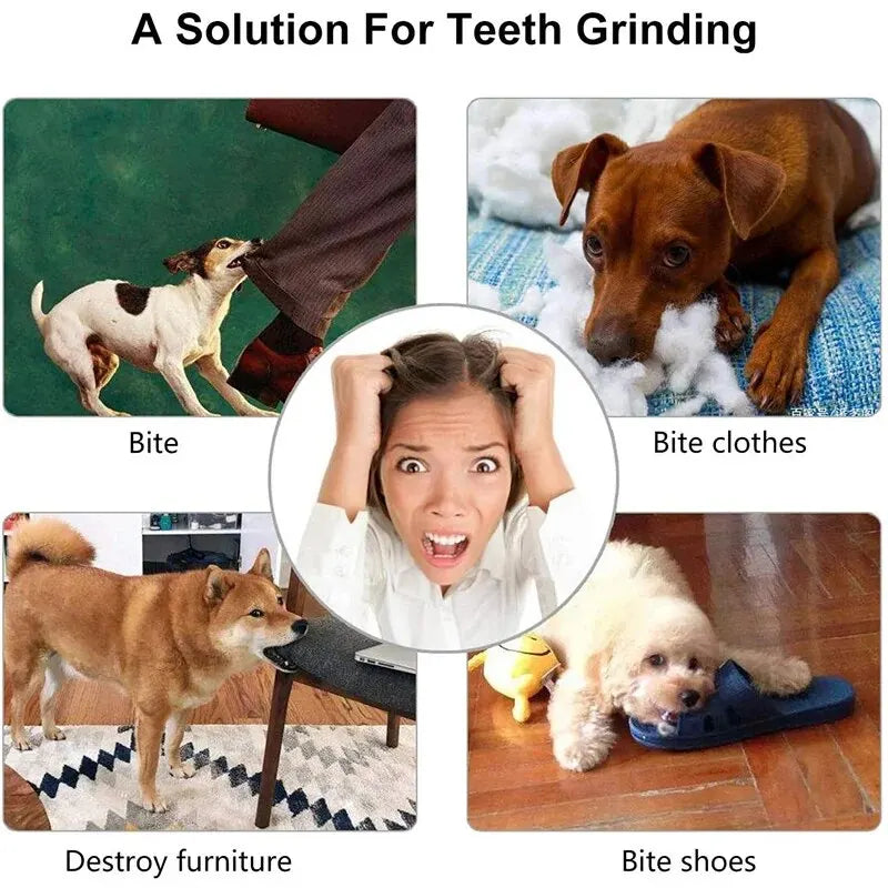 Balle Jouet pour Chien – Non Toxique, Résistante aux Morsures, Distributeur de Friandises, Nettoyant Dentaire pour Chiens et Chats