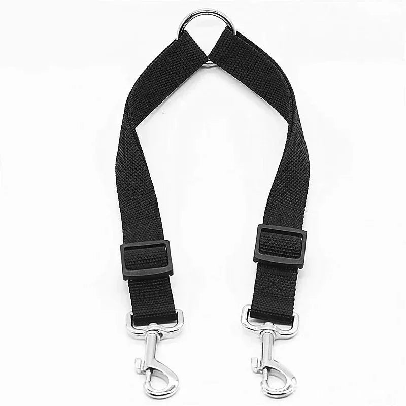 Laisse Nylon pour Chien – Solide, Réglable et Confortable pour la Promenade