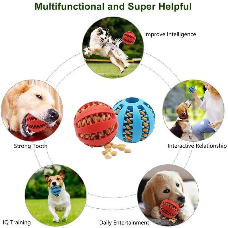 Balle Jouet pour Chien – Non Toxique, Résistante aux Morsures, Distributeur de Friandises, Nettoyant Dentaire pour Chiens et Chats