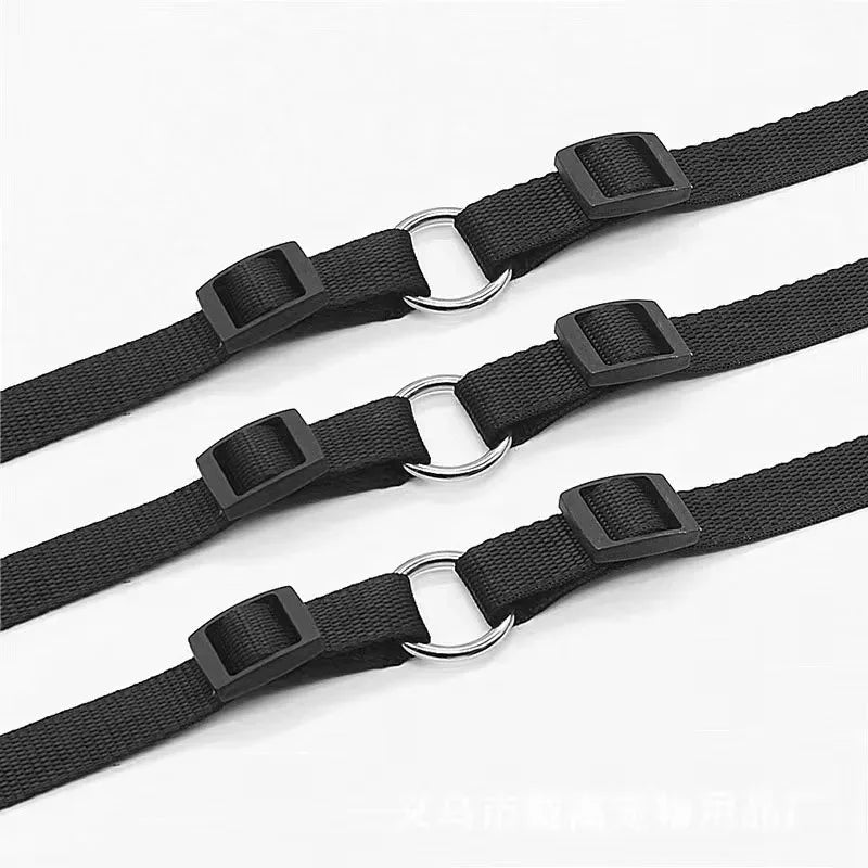 Laisse Nylon pour Chien – Solide, Réglable et Confortable pour la Promenade