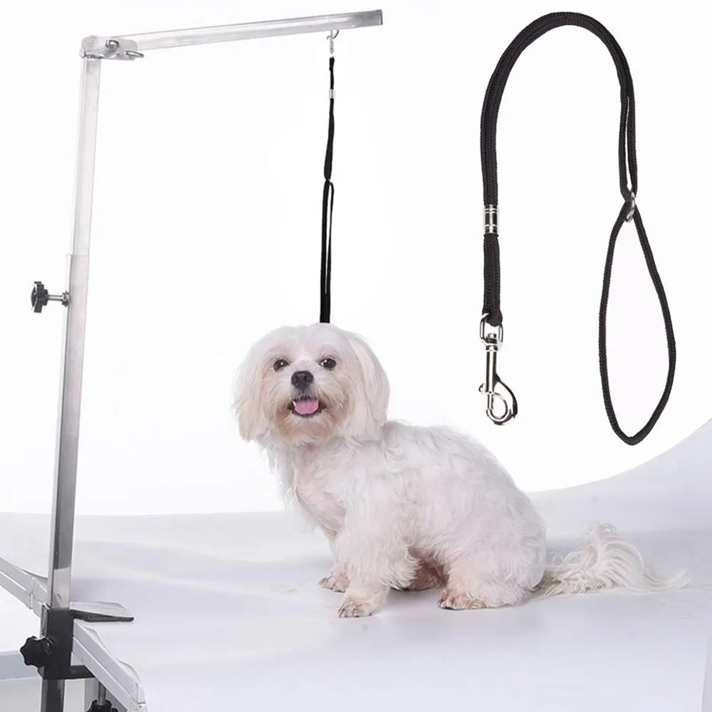 Laisse Nylon Réglable pour Chien – Corde de Contention pour Toilettage, Bain et Table de Toilettage