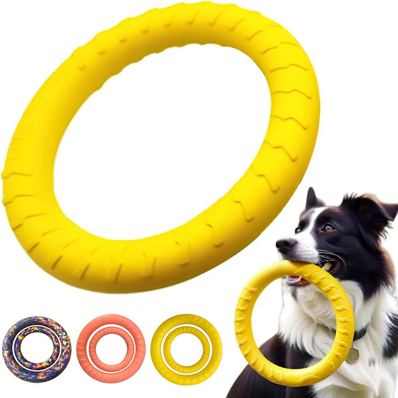 Frisbee pour Chiens et Chats – Anneau de Traction EVA Résistant aux Morsures, Flottant, Jouet Interactif Extérieur