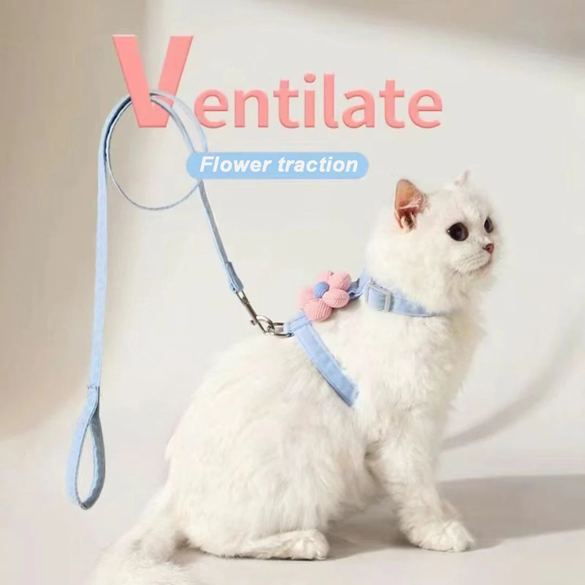 Harnais et Laisse pour Chat et Petit Chien – Réglable, Respirant et Léger