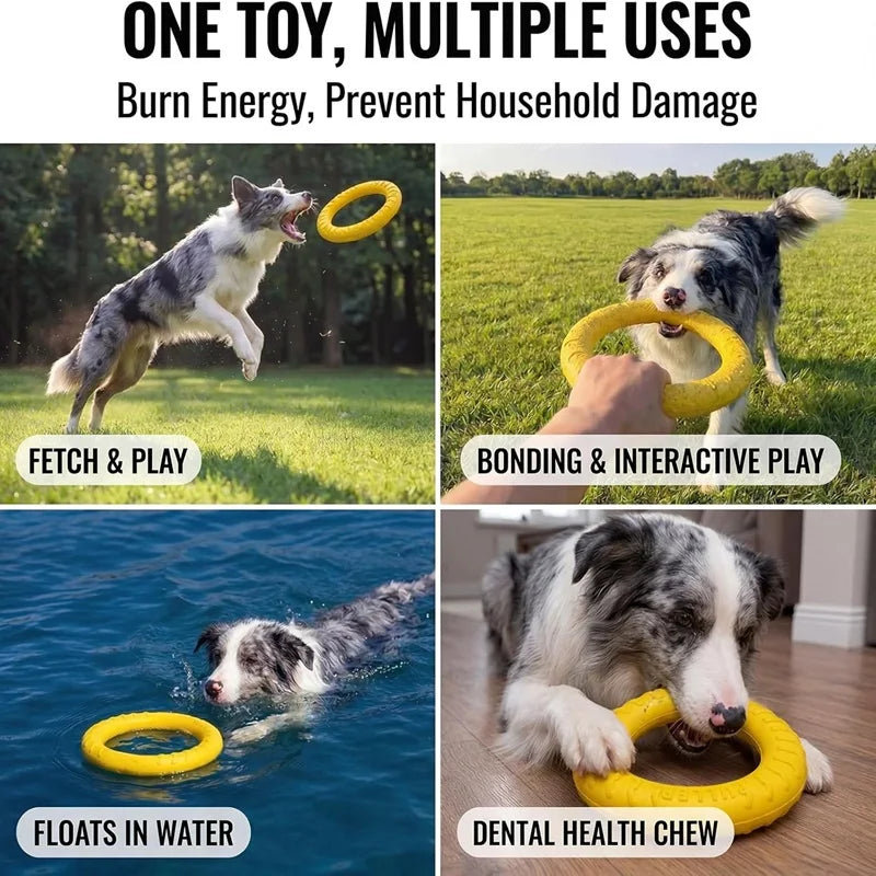 Frisbee pour Chiens et Chats – Anneau de Traction EVA Résistant aux Morsures, Flottant, Jouet Interactif Extérieur