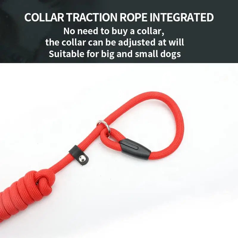 Laisse Nylon Coulissante pour Chien 130 cm – Réglable, Solide et Portable pour la Promenade