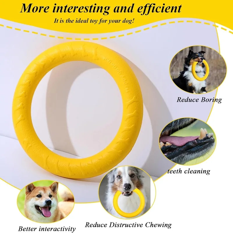 Frisbee pour Chiens et Chats – Anneau de Traction EVA Résistant aux Morsures, Flottant, Jouet Interactif Extérieur