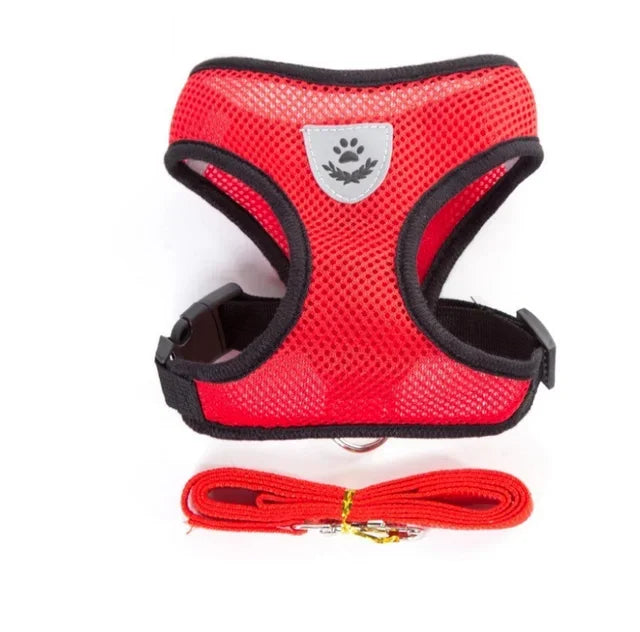 Harnais Mesh Respirant pour Chat et Chien – Réglable avec Laisse, Bandes Réfléchissantes