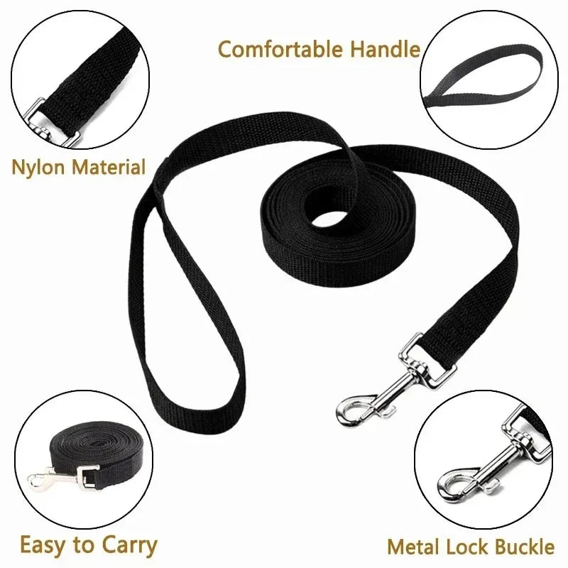 Laisse Nylon pour Chien – Solide, Réglable et Confortable pour la Promenade