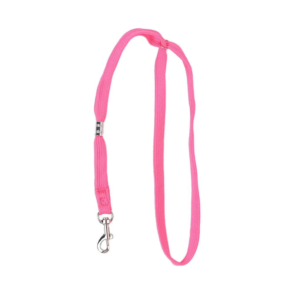 Laisse Nylon Réglable pour Chien – Corde de Contention pour Toilettage, Bain et Table de Toilettage