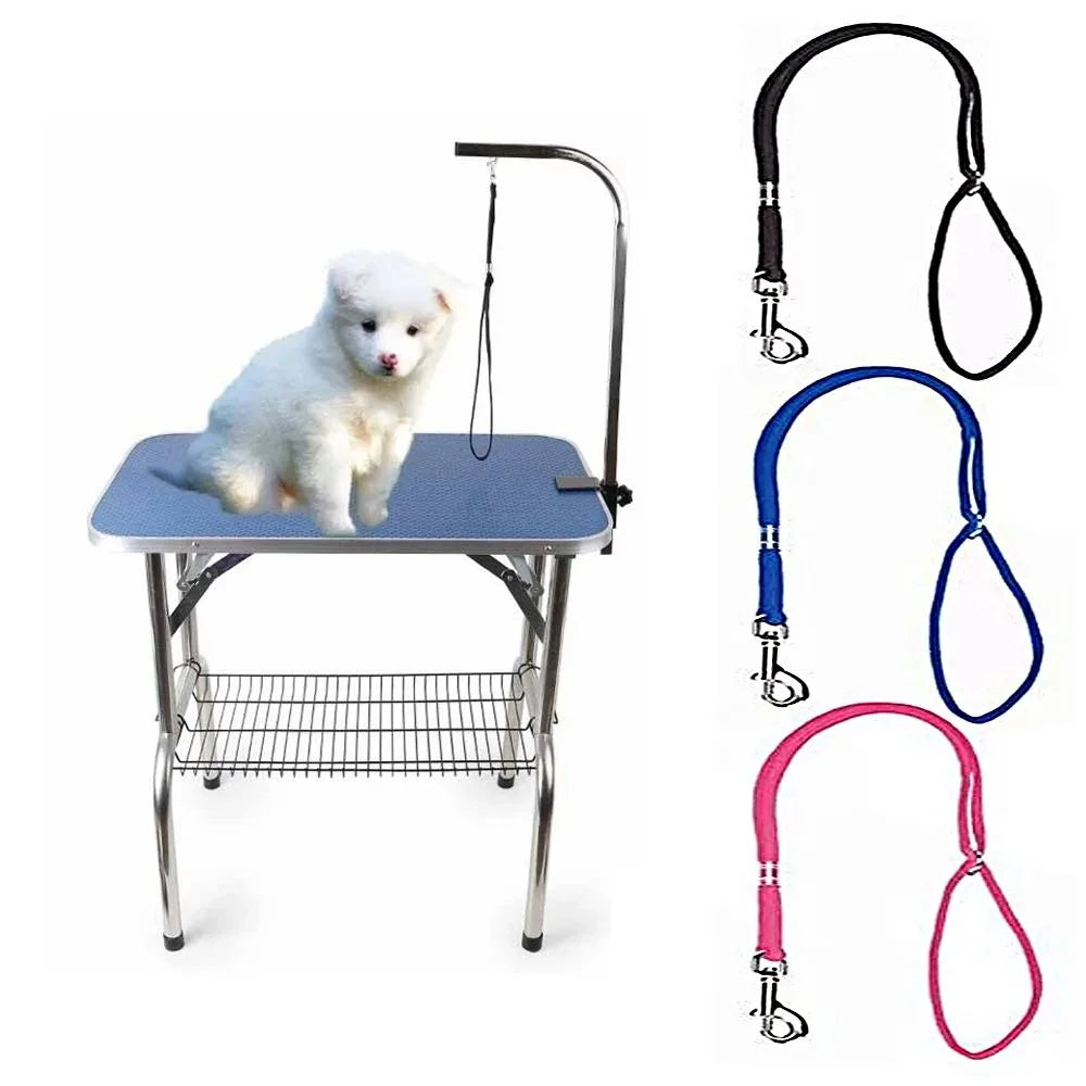 Laisse Nylon Réglable pour Chien – Corde de Contention pour Toilettage, Bain et Table de Toilettage