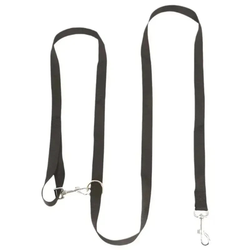 Laisse Nylon pour Chien – Solide, Réglable et Confortable pour la Promenade
