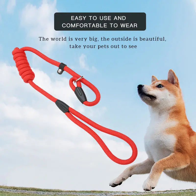 Laisse Nylon Coulissante pour Chien 130 cm – Réglable, Solide et Portable pour la Promenade