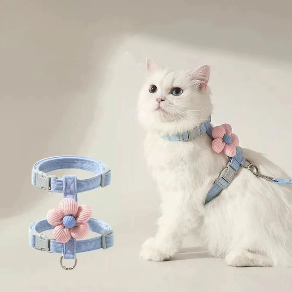 Harnais et Laisse pour Chat et Petit Chien – Réglable, Respirant et Léger