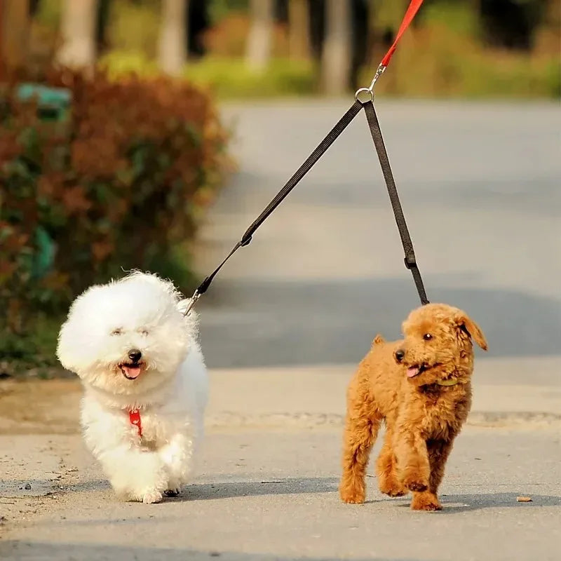 Laisse Nylon pour Chien – Solide, Réglable et Confortable pour la Promenade