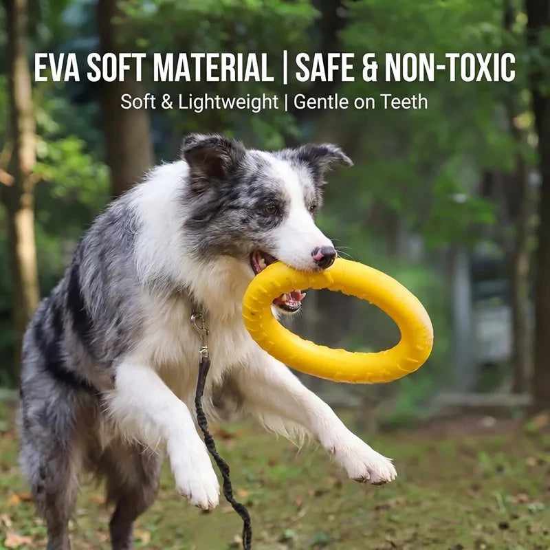 Frisbee pour Chiens et Chats – Anneau de Traction EVA Résistant aux Morsures, Flottant, Jouet Interactif Extérieur