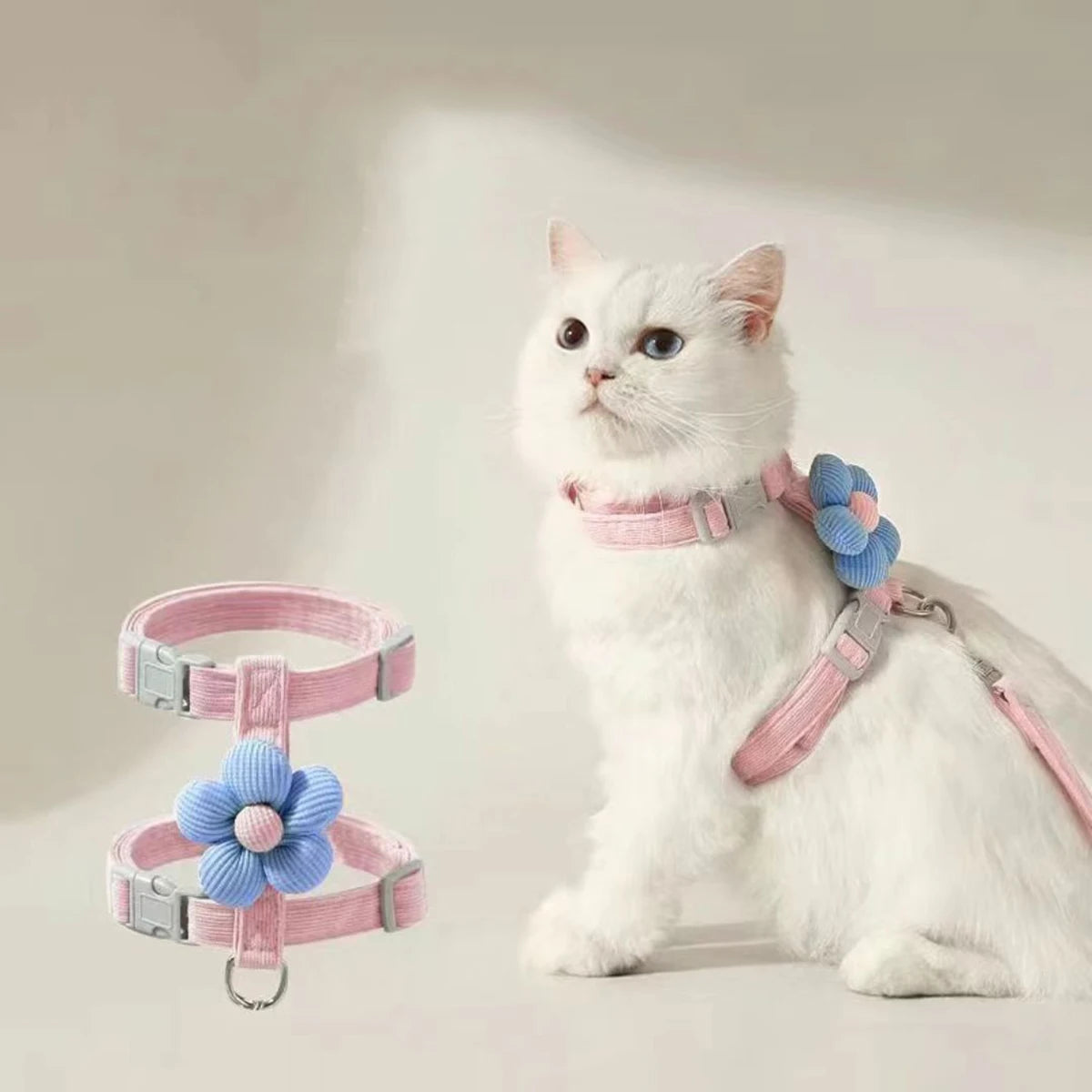 Harnais et Laisse pour Chat et Petit Chien – Réglable, Respirant et Léger