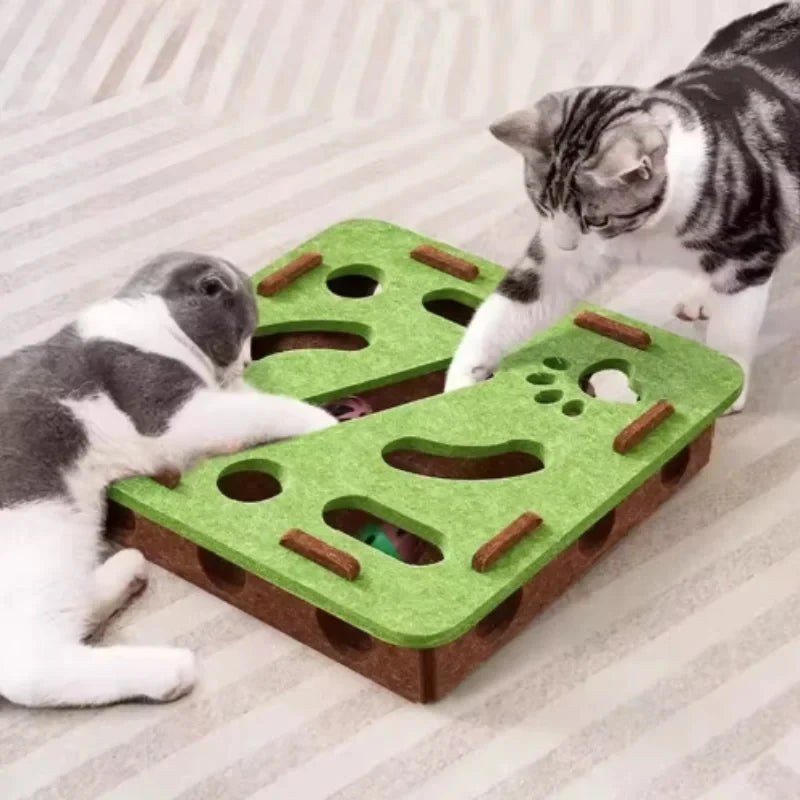 Jouet Puzzle Labyrinthe Interactif pour Chat – Boîte en Feutre avec Balle à Clochette, Trous, Accessoire pour Chaton