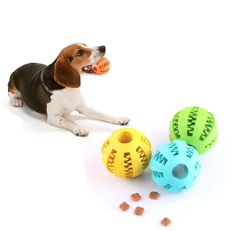 Balle Jouet pour Chien – Non Toxique, Résistante aux Morsures, Distributeur de Friandises, Nettoyant Dentaire pour Chiens et Chats