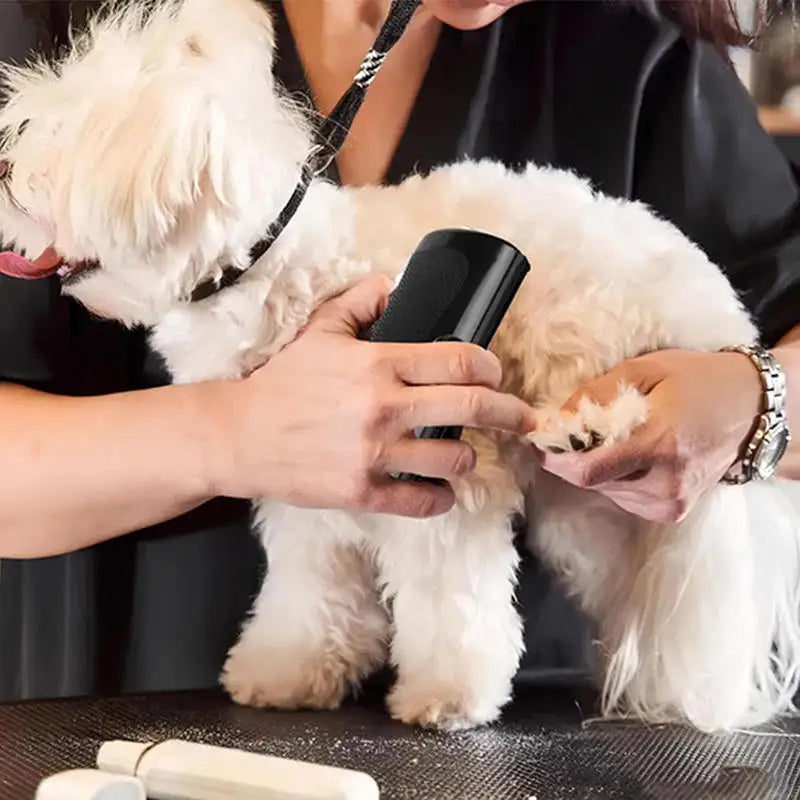 Brosse de démêlage professionnelle pour chien - Outil multifonction anti-poils