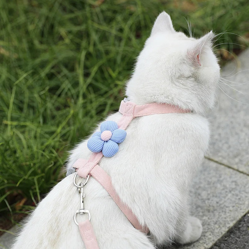 Harnais et Laisse pour Chat et Petit Chien – Réglable, Respirant et Léger