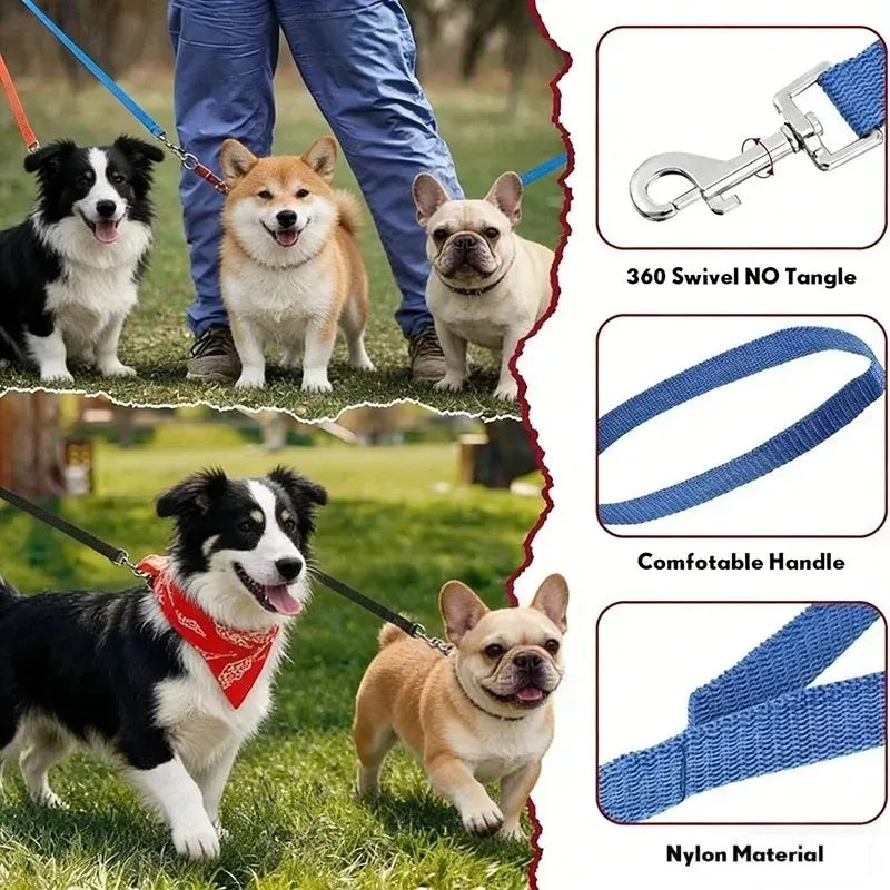 Laisse Nylon pour Chien – Solide, Réglable et Confortable pour la Promenade