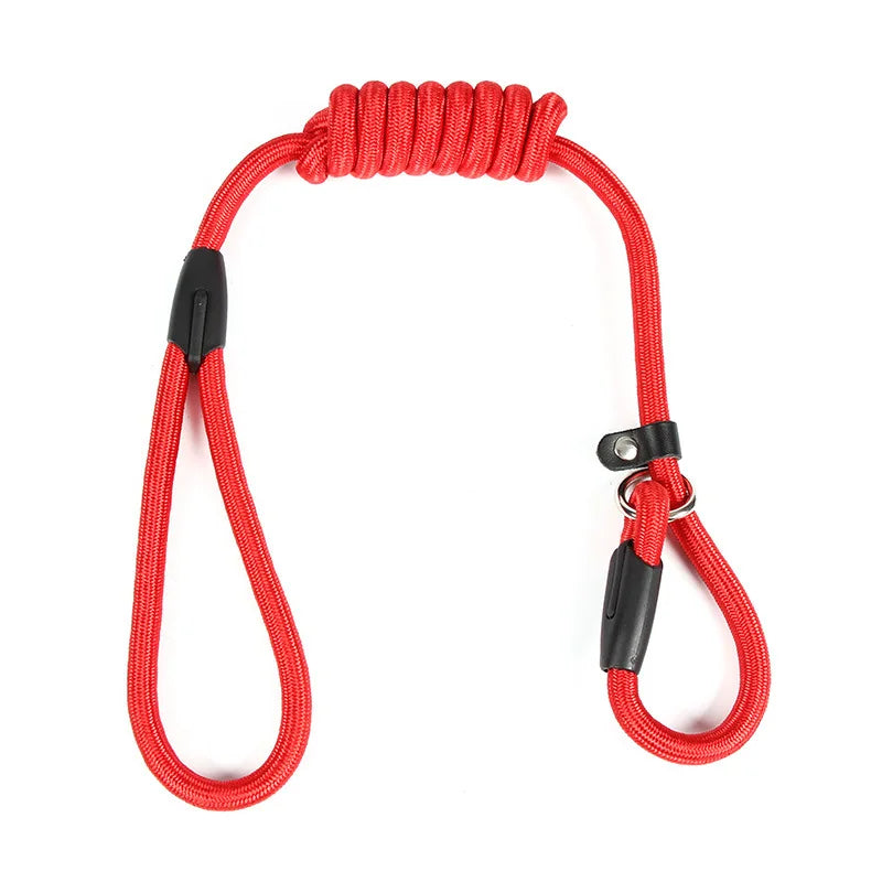 Laisse Nylon Coulissante pour Chien 130 cm – Réglable, Solide et Portable pour la Promenade