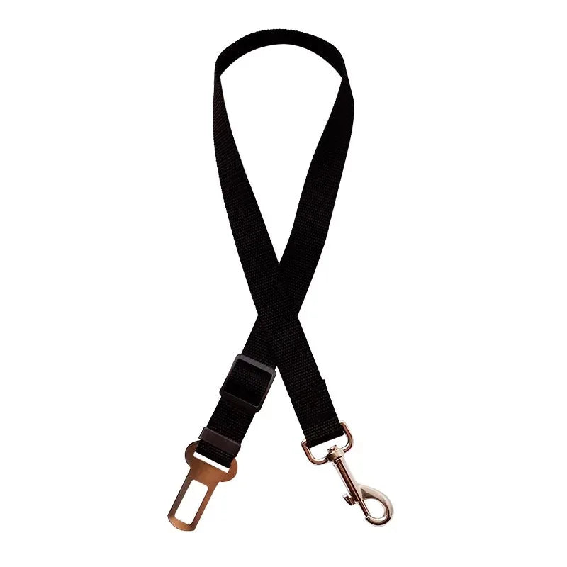 Laisse Nylon pour Chien – Solide, Réglable et Confortable pour la Promenade