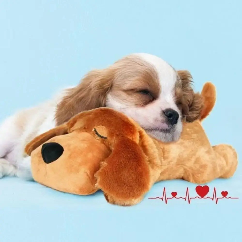 Peluche Apaisante pour Chien – Jouet avec Battement de Cœur Intégré, Anti-Anxiété, Aide au Sommeil pour Chiot