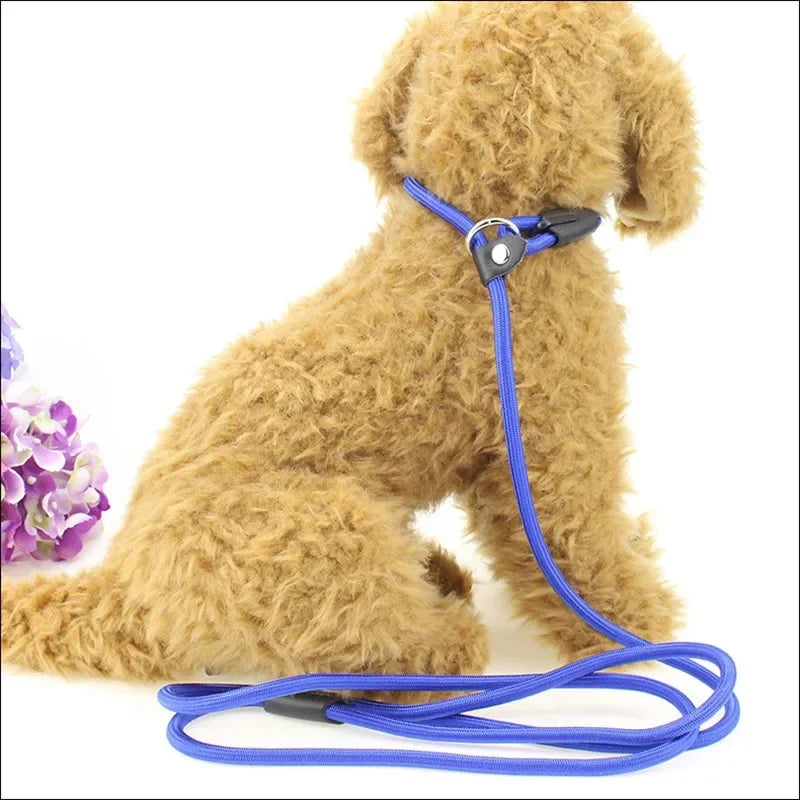 Laisse Nylon Coulissante pour Chien 130 cm – Réglable, Solide et Portable pour la Promenade