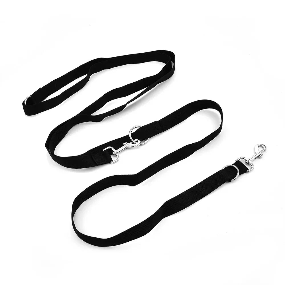 Laisse Nylon pour Chien – Solide, Réglable et Confortable pour la Promenade