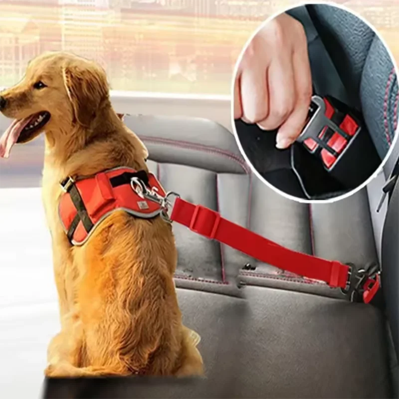 Ceinture de Sécurité Voiture pour Chien et Chat – Laisse Rétractable Réglable et Sécurisée