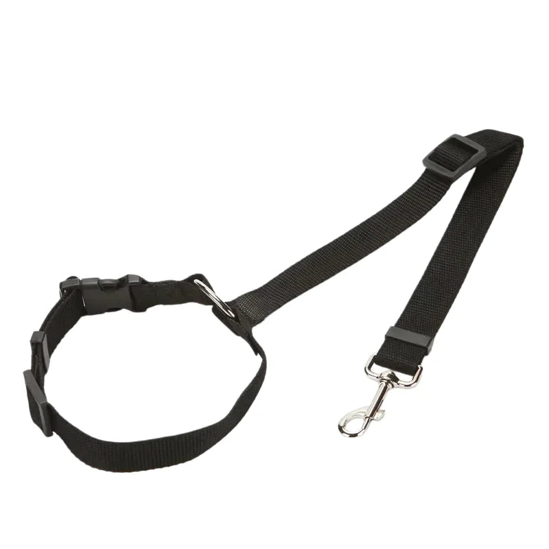Laisse Nylon pour Chien – Solide, Réglable et Confortable pour la Promenade