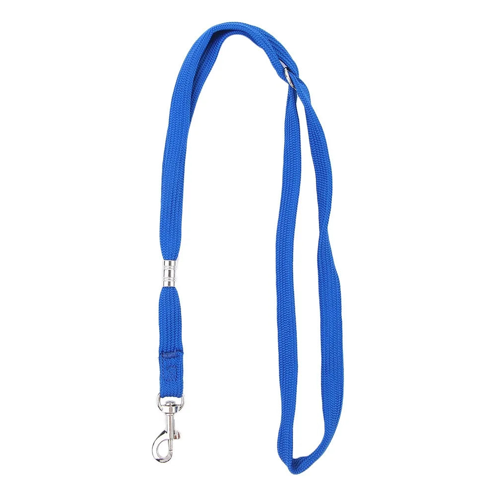Laisse Nylon Réglable pour Chien – Corde de Contention pour Toilettage, Bain et Table de Toilettage