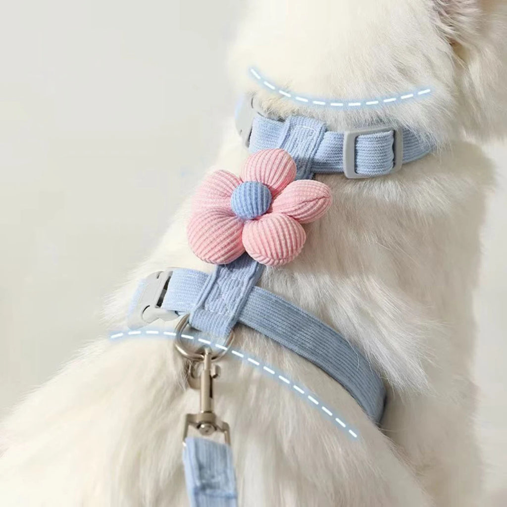 Harnais et Laisse pour Chat et Petit Chien – Réglable, Respirant et Léger
