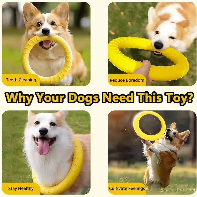 Frisbee pour Chiens et Chats – Anneau de Traction EVA Résistant aux Morsures, Flottant, Jouet Interactif Extérieur