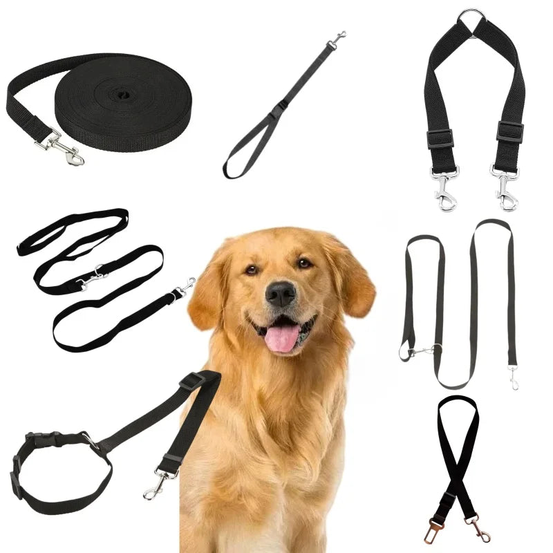 Laisse Nylon pour Chien – Solide, Réglable et Confortable pour la Promenade