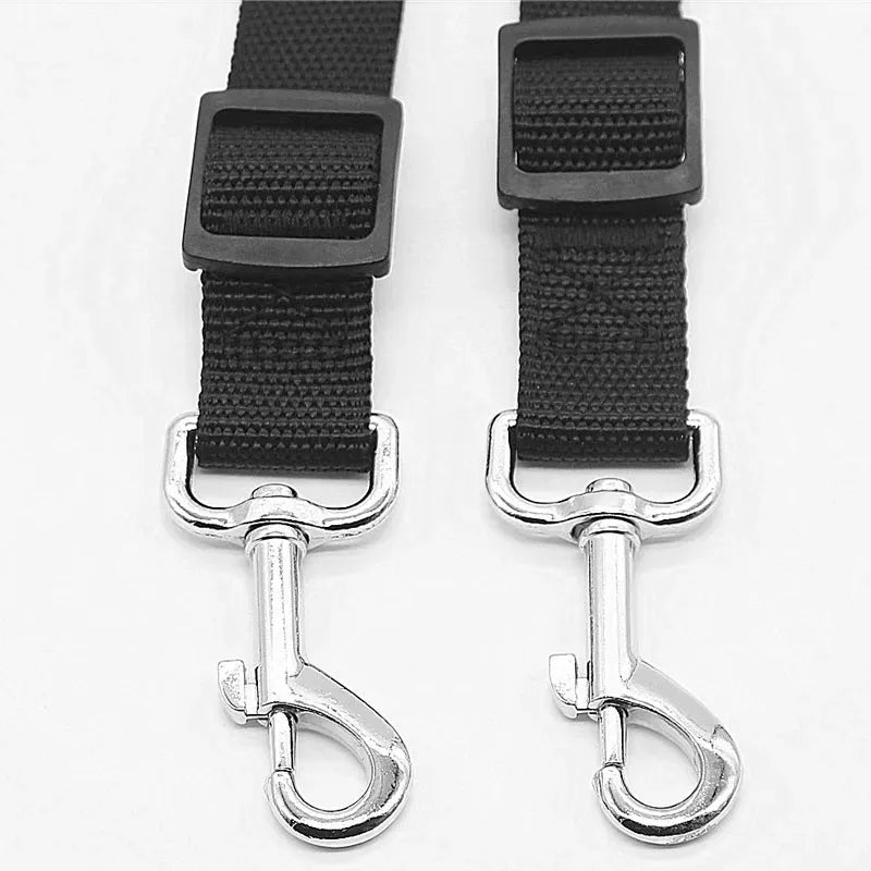 Laisse Nylon pour Chien – Solide, Réglable et Confortable pour la Promenade
