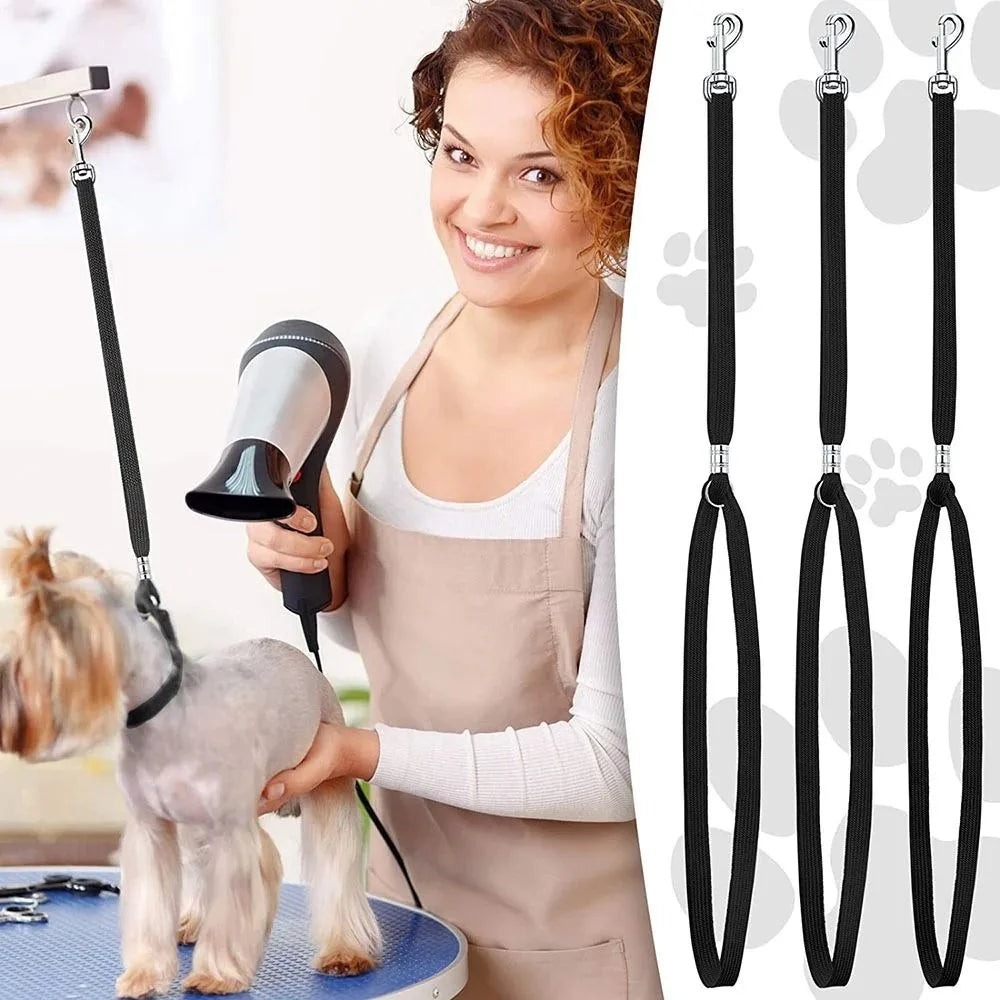 Laisse Nylon Réglable pour Chien – Corde de Contention pour Toilettage, Bain et Table de Toilettage