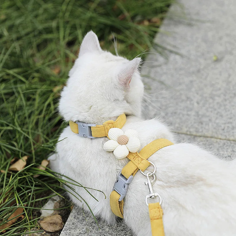 Harnais et Laisse pour Chat et Petit Chien – Réglable, Respirant et Léger